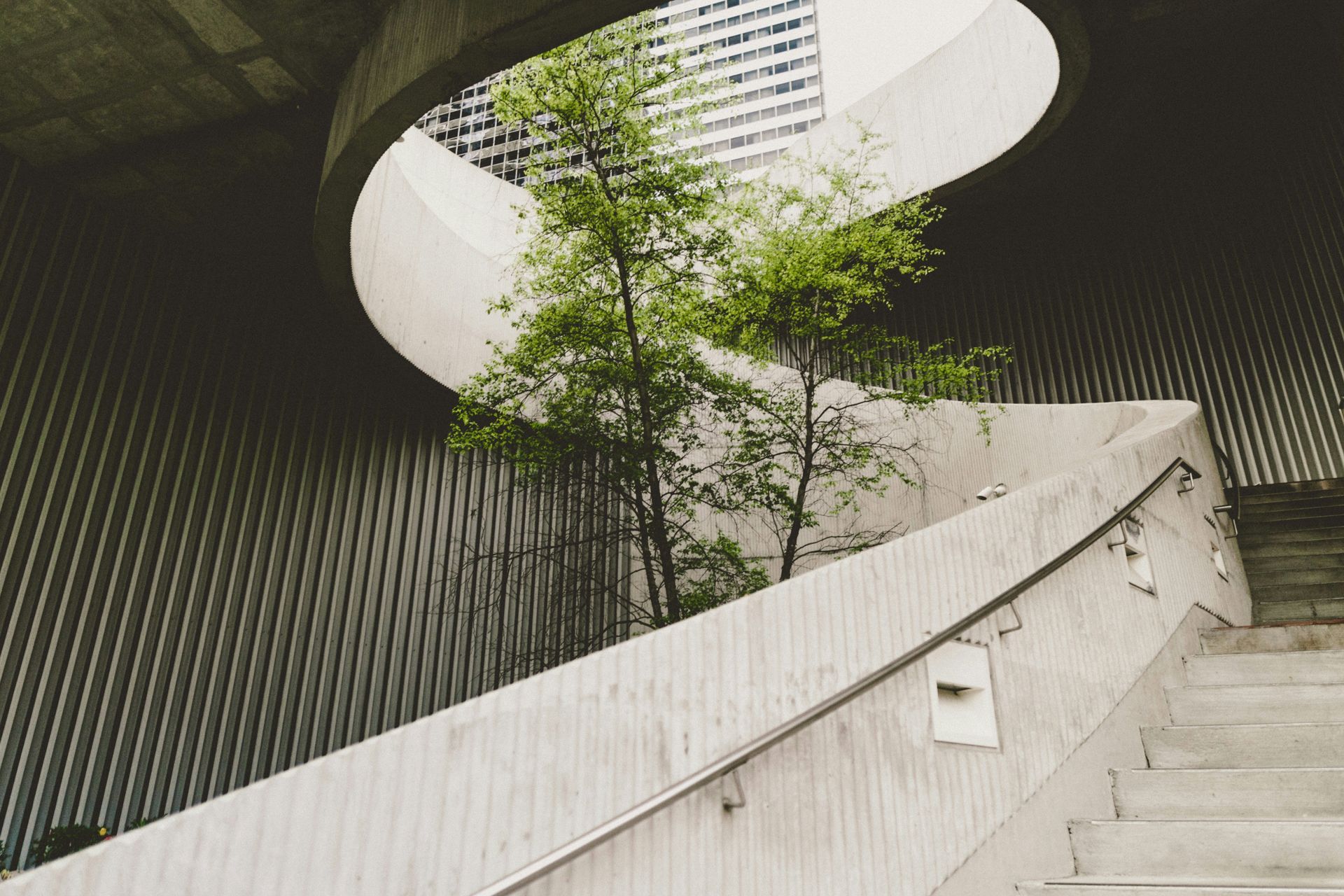 Low-angle view of a brutalist concrete spiral staircase winding around a green tree toward a circular opening in the ceiling, with a skyscraper visible in the background.
